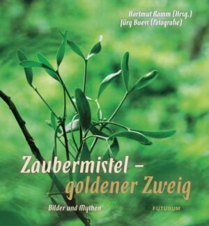 Die 'alles Heilende' hieß die Mistel in der Sprache der Kelten, die sie als Geschenk des Himmels sahen, und in der Dichtung des Vergil dient sie als Wegweiser durch das Reich der Toten. Auch in der modernen anthroposophischen Medizin haben sich die Heilkräfte der Mistel in ihrer pharmazeutischen Verarbeitung zu 'Iscador' bei der Behandlung von Krebserkrankungen bewährt.Mit einer kommentierten Textauswahl aus Dichtung und Überlieferung lässt Hartmut Ramm die Bedeutung der Mistel aus unterschiedlichen Zeitund Kultur- Perspektiven sichtbar werden. Damit eröffnet er einen Zugang zum Wesen der Pflanze, der über den medizinischen Aspekt hinaus ein Wieder- heil- Werden im Seelischen und Geistigen bewirken kann. Ergänzend zu diesen Sprachbildern aus zwei Jahrtausenden gelingt es Jürg Buess, in seinen fotografischen Begegnungen mit der Pflanze in allen Erscheinungsformen und Entwicklungsphasen ihre charakteristischen Wesensgesten einzufangen. Seine Bildkompositionen aus Licht und Farbe lassen jene magischen Momente entstehen, in denen es möglich wird, jenem Fremdling im Pflanzenreich etwas von seinem Geheimnis abzulauschen.