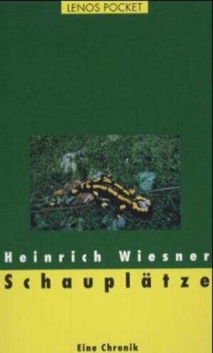 Schauplätze ist eines der wichtigsten und erfolgreichsten Werke Heinrich Wiesners. In der vielbeachteten Chronik schildert er - aus der Sicht eines Schweizer Bauernjungen - die Situation der Schweiz nach der Machtergreifung der Nationalsozialisten in Deutschland.