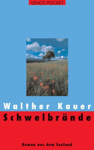 Zwei Vorfälle bringen das ruhige Leben des in die Jahre gekommenen Journalisten und Schriftstellers Bertrand in der malerischen Kleinstadt Moosbrugg durcheinander: der Fund einer Leiche im See und zwei Kisten, die er unerwartet mit der Post erhält. In ihnen findet er die brisanten handschriftlichen Notizen seines geliebten Grossvaters, die ihn auf eine Reise in die Vergangenheit führen. Erinnerungen an die mysteriösen Umstände des Todes der Mutter, an die zweifelhaften Machenschaften des Vaters als Gewerkschaftssekretär kommen hoch und stellen ihn vor eine schwere Entscheidung: Ist seine desillusionierte Abkehr von den linken Idealen seiner Jugend gerechtfertigt? Wird er, statt wie damals nur Schwelbrände zu legen, diesmal ein richtiges Feuer entfachen?