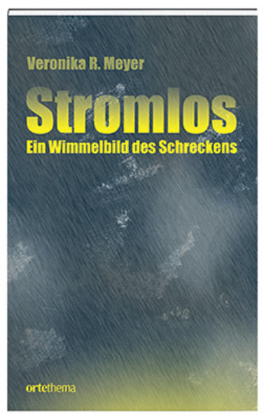 An einem Freitagnachmittag fällt in der ganzen Ostschweiz der Strom aus. Es gibt kaum Informationen über Ursache und Dauer des Stromausfalls. Computer stürzen ab, das Mobilfunknetz fällt aus, der Campingkocher muss den Kochherd ersetzen, tiefgekühlte Lebensmittel vergammeln und in den Spitälern brummen die Notstromaggregate. Nichts geht mehr! Bevölkerung und Behörden stehen vor gewaltigen Herausforderungen. Wie gehen die Menschen mit der noch nie dagewesenen Situation um? Wie viele bezahlen den Stromausfall mit ihrem Leben? Veronika Meyers Geschichte ist zum Glück nur Fiktion. Doch der Stromausfall vom 9. Dezember 2015 in weiten Teilen der Stadt Zürich zeigt, wie schnell die Realität die Fiktion einholen kann.