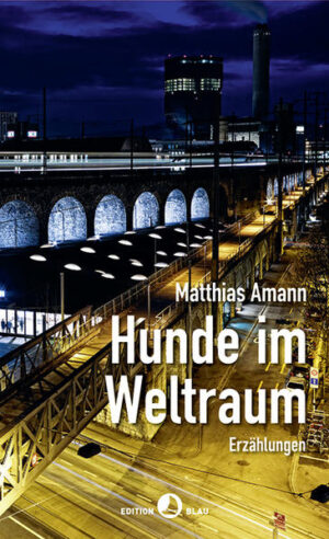 Andreas, mit einem Gerichtsfall befasst, steht vor dreieinhalb Meter Akten und soll darin die Wahrheit ausfindig machen. Fabienne und ihr Freund suchen samstags im Club den ultimativen Kick, um am Sonntagnachmittag bei den Eltern Kuchen zu essen. Während Marcel, Mitarbeiter des diplomatischen Diensts, am blauen Pool des Grand Hyatt Muscat sitzt, in Anzug und Krawatte. Und schließlich Philipp, Fahrradkurier, der sich sein Fahrrad - seinen Silberpfeil - klauen lässt. Matthias Amanns Figuren, auf der Zürcher Langstraße, vor Susan’s Tattoo-Shop, im Kosmonautenmuseum in Moskau oder in Oman unterwegs, ahnen, dass sie die Fährte verloren haben. Das Leben war einfach schneller. Wie sich der verträumte Einzelgänger im Dachstock, das junge Paar im Schrebergarten, der Fahrradkurier ohne Fahrrad langsam an eine unsichtbare Linie herantasten, sie berühren und manchmal überschreiten, davon erzählen die klug gebauten und sprachlich dichten Geschichten. Und nicht zuletzt vom Unbehagen an einer Welt, in der man Hunde ins All schickt.