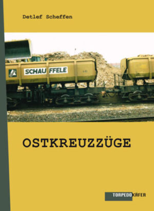 Abenteuerlust, Neugier und das Gefühl, in Ostberlin näher an der Wirklichkeit zu sein als in Westdeutschland, bringen den Autor 1991 erst nach Lichtenberg, dann nach Friedrichshain. Dort erlebt er dann die schleichende Eroberung der fremden Welt durch seine eigene, die er eigentlich hinter sich lassen wollte. Dieser Wandel und der vielseitige Widerstand dagegen äußern sich in Alltagssituationen, Einzelschicksalen, mitunter auch in bestimmten Objekten (Maschinen, Puppen etc.), die über Nacht erscheinen und das Bild der Stadt verändern. Dabei ist vor allem der ungeheure Baueifer prägend, auf den man allerorten trifft und der thematisch wie ein roter Faden die Texte durchzieht. Diese, zum größten Teil in den 90er Jahren entstanden, vermitteln so einen besonderen poetischen Blick auf die Stadt und diese Dekade.