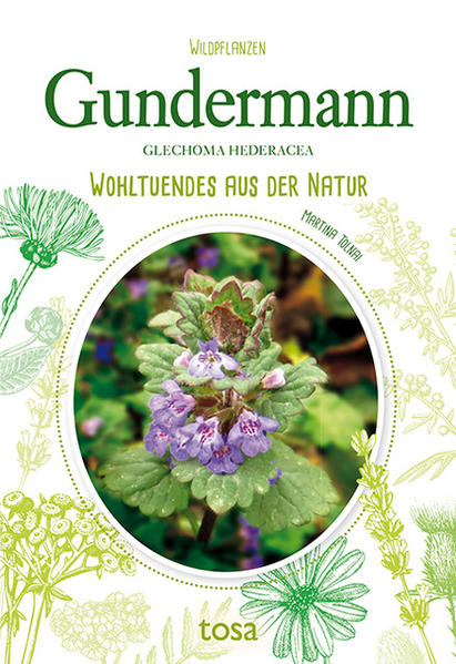 Obwohl der Gundermann recht häufi g vorkommt, ist er doch relativ unbekannt. Dabei ist er eine Heilpflanze und darüberhinaus auch noch äußerst wohlschmeckend. In diesem Büchlein erfahren Sie alles, was Sie wissen müssen, um den Gundermann zu sammeln, zu konservieren und anzuwenden.