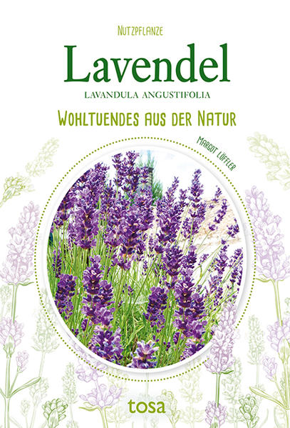 Der Lavendel enthält nicht nur wertvolle Vitalstoffe, die wir uns zunutze machen können, um Beschwerden vorzubeugen beziehungsweise zu lindern, sondern wird auch als Küchenkraut geschätzt. Diese in unseren Gefilden sehr gut gedeihende Mittelmeerpflanze wirkt zum Beispiel Einschlafstörungen sowie Verdauungsbeschwerden entgegen und verleiht zahlreichen Gerichten eine raffinierte Note. Erfahren Sie alles über Vorkommen, Aussehen, Ernte sowie Verwendung und lassen Sie sich von köstlichen Rezepten inspirieren.