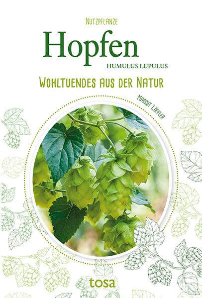 Der Hopfen verleiht nicht nur dem Bier Würze, sondern enthält auch wertvolle Vitalstoffe, die wir nutzen können, um zahlreichen Beschwerden vorzubeugen beziehungsweise sie zu lindern. Er findet u.a. bei Unruhe, Magen-Darm-Beschwerden sowie Blasen- und Nierenleiden Anwendung und ist darüber hinaus eine kulinarische Delikatesse. Erfahren Sie alles übr Vorkommen, Aussehen, Ernte sowie Verwendung und profitieren Sie von den vorgestellten Anwendungsmöglichkeiten.