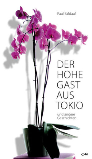 Mit 10 Kurzgeschichten und Erzählungen spannt der Autor gleichsam einen Fächer auf, der Leser und Leserinnen und Leser in vielfältige Welten eintauchen lässt: Von Japan bis Vietnam, von Krakau bis in die Taiga, von Bangkok bis in den Kaiserdom zu Speyer: Begleiten Sie den hohen Gast aus Tokio, dessen Reise eine unerwartete Wendung nimmt, reisen Sie mit einer Taiwanesin im Nachtzug nach Italien und erleben Sie mit, wie die überraschende Identität von Rimsky enthüllt wird, folgen Sie Smogulla bis zur malaiischen Halbinsel, lassen Sie sich verzaubern von Mai-Ly und ihrem Geigenspiel. So unterschiedlich wie die Schauplätze des erzählten Geschehens sind auch die Themen. Einige der Geschichten unterhalten durch Humor, leise Ironie und Fabulierlust