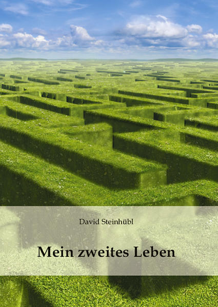 Dieses Buch ist eine Biographie. Ich, Dr. David Steinhübl, 2012 40 Jahre alt, wurde 2004 das Opfer eines fremdverschuldeten Verkehrsunfalles, bei dem ein befreundetes Paar ums Leben kam und ich nach drei Wochen Koma schwerbehindert überlebte. Meine Situation veränderte sich nach mehreren Jahren Pflege und Betreuung so positiv, dass ich wieder in der Lage bin, normal zu leben. Von meinen Erfahrungen, den Menschen, mit denen ich zu tun hatte und den Umständen, die meine Heilung möglich machten, erzähle und berichte ich in diesem Buch.