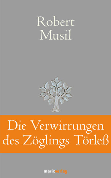 Musil beschreibt in seinem Erstlingswerk die grausamen Auswüchse der pubertären Entwicklung. Der Schüler Törleß beteiligt sich mit zwei Freunden an der systematischen Folterung deines anderen Jungen. Im Gegensatz zu seinen Kumpanen sind seine Motive intellektueller Natur: Törleß ist fasziniert vom antibürgerlichen Aspekt seiner Taten und erhofft sich tiefere Einblicke in die menschliche Seele und die Natur des Bösen.