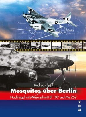 Mosquitos über Berlin | Bundesamt für magische Wesen