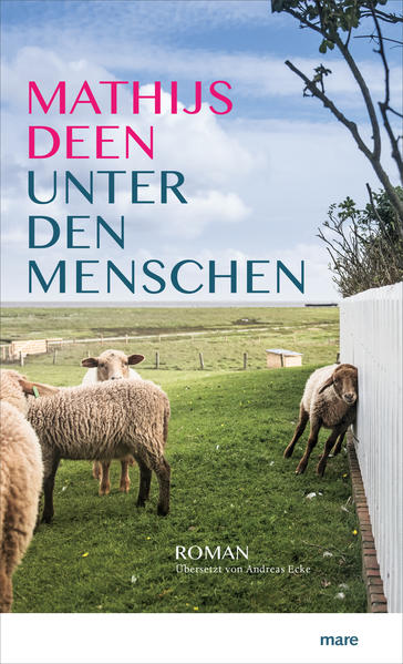 Seit dem Unfalltod seiner Eltern wohnt Jan allein auf dem Hof am Rande der Nordsee, das Leben geht seinen Gang, aber die Einsamkeit nagt an ihm. Ein bisschen Gesellschaft wäre schön, eine Frau, Gespräche, Sex, vielleicht sogar eine eigene Familie? Jan gibt eine Anzeige auf und erhält Antwort von Wil. Wil jedoch, so stellt sich heraus, verfolgt einen ganz eigenen Plan - sie sucht keine Liebe, sondern Ruhe vom Stadtleben und von den Enttäuschungen der Vergangenheit. Ihre einzige Bedingung lautet: Von dem Haus, in dem sie künftig leben wird, muss sie das Meer sehen können. Literarisch, atmosphärisch und mit einem feinen Gespür für das Skurrile beschreibt Mathijs Deen den Prozess einer ungewöhnlichen Paarwerdung. Zwei Menschen, die unterschiedlicher nicht sein könnten, versuchen zusammenzufinden. Kann das gut gehen?