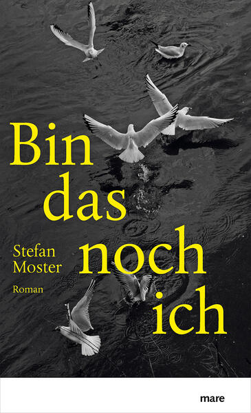 Musik ist Simons Beruf und seine Berufung. Doch eines Tages auf einer Sommertournee durch Finnland, als er in einer Kirche Bartóks Solosonate für Violine spielt, passiert es: Zwei Finger der linken Hand verweigern ihren Dienst, Simon muss das Konzert abbrechen. Er ahnt, dass es sich nicht um einen einmaligen Aussetzer handelt, sondern um einen nicht heilbaren Defekt. Während er noch unter Schock steht, bietet eine Musikerkollegin an, ihm für eine Weile ihr Ferienhäuschen auf einer Schäreninsel zu überlassen, damit er Klarheit über seine Lage gewinnen kann. Ganz allein macht Simon sich mit der Natur der kleinen Insel vertraut, dem Meer, den Bäumen, den Möwen, lernt Bootfahren und Holzhacken. Und sucht nach einer Antwort auf die Frage, was er ohne seine Geige sein kann.