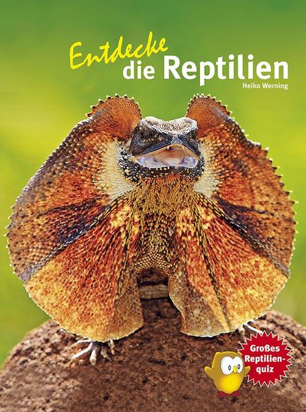 Reptilien sind die Drachen unserer Zeit! Einige von ihnen sind wirklich riesig. Manche haben große, scharfe Zähne und sind gefährlich. Andere spucken Gift, gleiten durch die Lüfte, wechseln blitzschnell ihre Farbe, schießen mit ihrer superlangen Zunge oder spritzen sogar mit Blut. Und noch viel mehr Spannendes gibt es zu berichten: Was sind Reptilien, wo leben und was fressen sie? Können alle Reptilien ihren Schwanz abwerfen - und warum tun sie das überhaupt? Wozu haben Reptilien Schuppen? Welche Reptilien sind giftig - und welche tun nur so? Diese und alle anderen Fragen rund um die gepanzerten Tiere beantwortet Reptilienexperte Heiko Werning in seinem spannenden Buch - eine aufregende und kurzweilige Entdeckungsreise in die Welt der Reptilien! • Die Nachfahren der Dinosaurier • Wer war zuerst da: das Ei oder die Schildkröte? • Lähmende Blicke und giftige Bisse • Zwerge und Riesen • Verehrt und gefürchtet • Zärtliche Eltern • Reptilien vor Deiner Haustür Extra: Großes Reptilienquiz