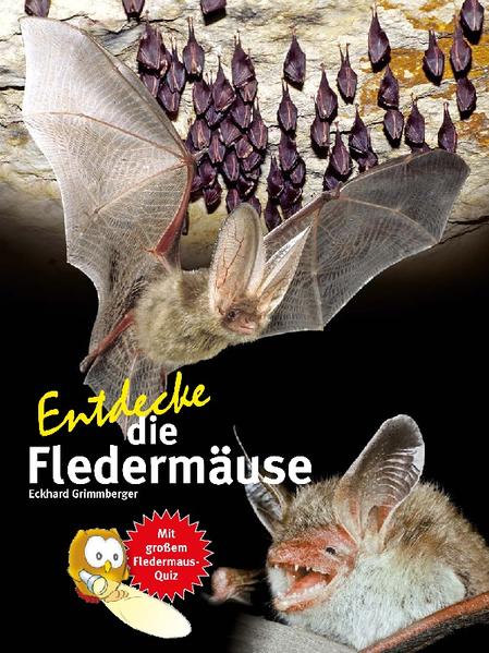 Entdecke die Fledermäuse | Bundesamt für magische Wesen