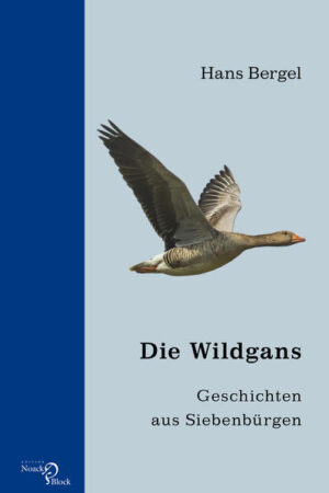 Wenn die Wildgänse im Herbst über das Land fliegen, ist der Winter nicht weit … Wer Siebenbürgen kennenlernen will, der lese diese Geschichten. Bald heiter, bald tragisch zeichnet Hans Bergel in ihnen das Panorama der siebenbürgischen Seele und ihrer Abgründe. In Bergwäldern, Bauernkaten und bei Gericht spürt er ihr nach. Der Zauber von Bergels unnachahmlicher Sprachgestaltung und erzählerischer Brillanz zieht den Leser in seinen Bann.