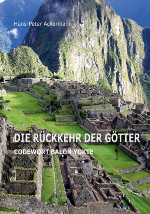 An einem Januarmorgen wird Professor Jan Widmark vor seinem Haus überfallen und seiner Forschungsunterlagen beraubt. Als er wieder aufwacht, findet er ein goldenes Maya- Amulett im Schnee. Von da an ereignen sich in seinem Umfeld mysteriöse Vorfälle. Der Professor und sein Team arbeiten an der Entschlüsselung des 3144 Jahre alten Maya- Kalenders und dessen Prophezeiung für den 21.12.2012, die eine Rückkehr der Maya- Götter voraussagt. Sie reisen zum heiligen Berg der Maya, dem Machu Picchu, wo das Team in eine Auseinandersetzung mit einer Sekte gerät. „Die Hüter des Lichtes“ glauben an die Rückkehr der Götter, mit deren Hilfe sie die Macht über die Erde übernehmen wollen. Der Kampf um die letzten Götter der Menschen, Trinkwasser, Öl und Gas hat begonnen! Kann Professor Widmark mit seinem Team die Zerstörung der Erde verhindern?