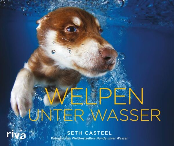 Seth Casteels erstes Buch, Hunde unter Wasser, hat weltweit Millionen von Lesern begeistert. Nun erscheint ein neuer Band mit über 80 bisher unveröffentlichten Bildern von jungen Hundewelpen unter Wasser! Die Aufnahmen zeigen den besten Freund des Menschen von seiner verspieltesten und überschwänglichsten Seite. Die lebhaften und farbenfrohen Unterwasser-Fotografien bilden die ganze Bandbreite der Emotionen kleiner Welpen ab - wild, spektakulär und unglaublich niedlich. Ein Muss für jeden Hundeliebhaber.