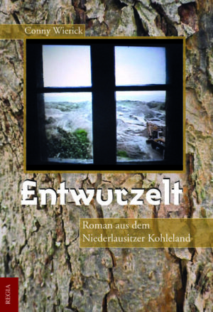 Kann es sein, dass selbst dieses Türschloss sich den Tatsachen verweigert, indem es widerspenstig gegen einen Schlüssel kämpft? Es bleibt unnachgiebig und zwingt zur Kapitulation. Schon wieder, denkt Undine. Zu viele Kapitulationen in letzter Zeit. Da kommt es auf eine mehr oder weniger auch nicht an. Dieses simple Ding von Türschloss! Mag es streiken! Ändern wird sich deswegen nichts an Tatsachen, mit denen man sich nun anfreunden muss. Anfreunden? Das nun gerade nicht. Doch sich ausliefern, in Lethargie verfallen? - Die Stirn bieten wollte man wenigstens. Bis gestern. Bis heute Mittag sogar. Jetzt aber ist dieser Vor­satz plötzlich doch einer gedrückten Stimmung erlegen. Undine spürt das Verlangen, sich einfach wegsperren zu wollen, vor aller Fremdheit zu flüchten, wie in einem Schneckenhaus zu verschwinden.