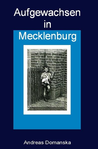 Erzählt von schönen, ärgerlichen und peinlichen Erlebnissen, die man als Stepke und später Halbwüchsiger so erlebt. Es gab keinen Fettnapf, den ich ausgelassen hätte. Es werden die Irrungen und Wirrungen der ersten Liebe genauso dargestellt, wie der kleine Ladendiebstahl und die Probleme in den Lehrjahren. Kurz - ein Querschnitt vom Kind zum Erwachsenen. Und das Ganze mit der nötigen Portion Humor und einem Augenzwinkern.