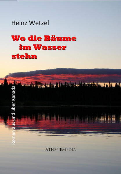 Anna, eine Deutsche, will in Kanada Material für ihre Arbeit über den amerikanischen Unabhängigkeitskrieg suchen. Sie verliebt sich in David, einen Kanadier, der ihr die Geschichte von Berczy erzählt. Sie vergisst ihre Absicht und sucht stattdessen Schriften von und über Berczy, der bei seiner Geburt Albert Ulrich Moll hieß und Ende des 18. Jahrhunderts deutsche Einwanderer nach Kanada führte. Anna will das Unrecht erkennen, das er und seine Siedler von den englischen Kolonisatoren ertragen mussten. Sie sieht darin eine frühe Parallele zu der Behandlung des peruanischen Indios und Torontoer Studenten José: Beide gelten den Behörden als minderwertige Störenfriede. José ist nicht nur Student, sondern er gehört auch einer Gruppe Indios an, die das Torontoer Verbindungsbüro einer Ölfirma angreifen, weil die Ölförderung den CO2-Ausstoß vergrößert und vermutlich einen Indianerstamm im kanadischen Fördergebiet mit Krankheiten überzogen hat. José fühlt sich solidarisch, weil auch er aus einem Ölfördergebiet - am Amazonas - kommt. Von der kanadischen Polizei verhaftet, begeht er kurz vor seiner Auslieferung nach Peru Selbtmord. Er glaubt, dass in den Gefängnissen dort noch gefoltert wird. Anna, bescheiden geworden, kann sich trotz aller Anstrengungen nicht entschließen, an seinem Kampf teilzunehmen. Sie wird mit David zusammenleben.