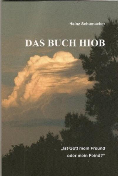 Es geht angesichts der Frage von Leid um die Frage: Ist Gott für mich oder gegen mich? Ist er Freund oder Feind? Die Frage des "Warum" wird zur Frage an Gott. Höhepunkt, wie sich Hiobs Glaube zu der Feststellung durchringt: Es kann nicht sein, dass Gott gegen mich ist. Er steht auf meiner Seite.