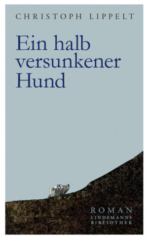 Dieser Roman schildert die geheimnisvolle Verbindung zwischen der expressionistischen Malerin Sidonie Bächler und dem Wunderkind Lude Frey. Die Künstlerin fällt durch ihren Lebenswandel den Nationalsozialisten auf und wird mit einer bewusst falschen Diagnose in eine „Heil- und Pflegeanstalt“ eingewiesen, wo sie der Euthanasieaktion des Regimes zum Opfer fällt. Jahrzehnte später wird Frey, ein malendes Genie, psychisch krank. Er wird nach „Schloss Fürstenau“ verbracht, eine ebensolche Einrichtung, in der einst das industrielle Töten von Menschen begonnen hatte. Seit Langem schon empfindet er die halb vergessene Sidonie Bächler als seine legitime Schwester. Christoph Lippelt verbindet die Lebenswege zweier gefährdeter Extremcharaktere in verschiedenen Zeiten und politischen Systemen. Aber er zeigt auch besonders jene Menschen, die sich mit all ihrer Kraft gegen die inneren und äußeren Katastrophen ihrer Zeit anstemmen.