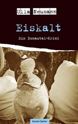 Eiskalt Ein Donautal-Krimi | Ulla Neumann