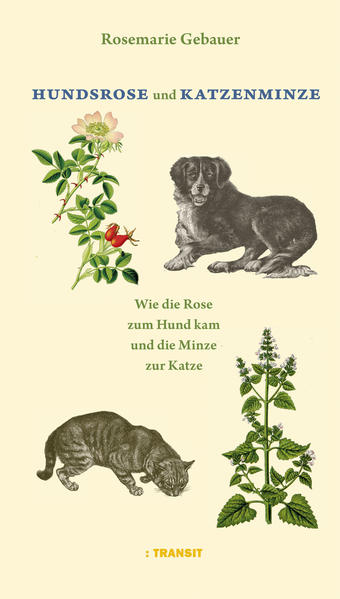 Die Pflanzenwelt ist ohne Tierwelt nicht möglich. Flora und Fauna haben sich gegenseitig beeinflusst und entwickelt, Co-Evolution betrieben. Das wunderbare Gebiet der Blütenbiologie erforscht das Zusammenspiel von Blüte und Tier und lässt zum Beispiel anhand von Blütenmerkmalen den oder die tierischen Bestäuber vorhersagen. Es waren aber nicht Botaniker, die einem schönen Liliengewächs den Namen »Krötenlilie« gaben oder eine Orchidee als »Waldvöglein« bezeichneten. Es waren unsere Vorfahren, die täglich mit den Pflanzen zu tun hatten, sie als Heilpflanzen schätzten oder als Nahrung für sich und ihre Haustiere. Sie werden gegraben haben, um ihre Wurzeln medizinisch zu nutzen. Sie werden Ähnlichkeiten zwischen Tier und Pflanze entdeckt haben und gaben den Pflanzen entsprechende Namen, allerdings regional oft unterschiedlich. Das änderte sich, als der schwedische Botaniker Carl Linné die binäre Nomenklatur erfand