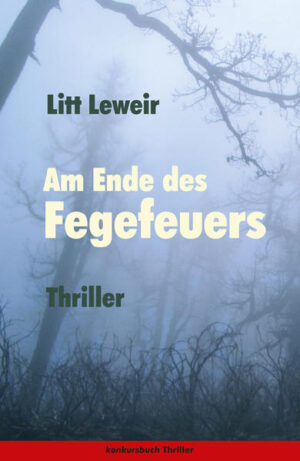 Am Ende des Fegefeuers. Thriller | Litt Leweir