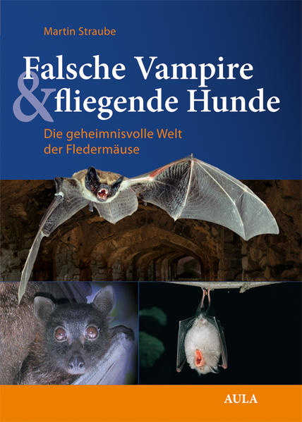 Falsche Vampire & fliegende Hunde Die geheimnisvolle Welt der Fledermäuse | Bundesamt für magische Wesen