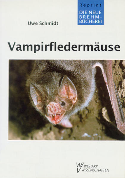 Vampirfledermäuse Familie Desmodontidae (Chiroptera) | Bundesamt für magische Wesen