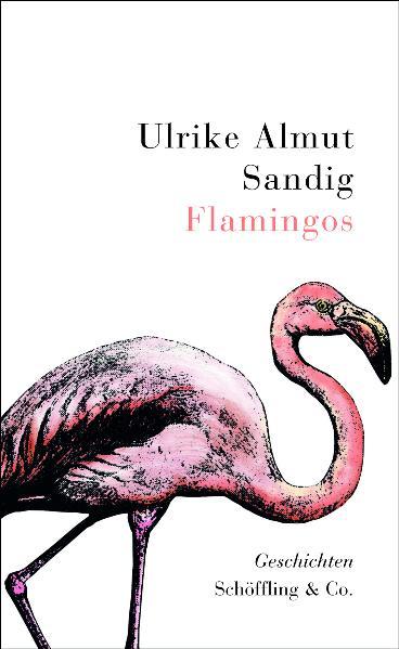 "Begeisterte Reaktionen bei Lesern und Kritikern lösten die Gedichtbücher von Ulrike Almut Sandig aus, und so wird es auch mit ihren Geschichten sein, die nunmehr im Buch Flamingos erscheinen.Es ist nichts weniger als die Stimme einer neuen, ganz außergewöhnlichen Prosaautorin, die in der Welt der Lyrik bereits einen großen Namen besitzt und mit zahlreichen Preisen geehrt wurde, zuletzt 2009 mit dem Leonce-und-Lena-Preis. Ulrike Almut Sandigs Prosa ist so neu, so frisch, so außergewöhnlich und so außergewöhnlich gut. Mit bewundernswerter Sicherheit und Präzision setzt sie auf zweierlei: das Spiel mit der Erinnerung und die Gestaltungskraft der Phantasie, durchaus mit märchenhaften Zügen. Eine großartige neue Stimme, von der wir gewiss in den kommenden Jahren noch sehr viel zu erwarten haben: die Geburt einer Erzählerin."Flamingos stehen in Gruppen, aber jeder Einzelne ist allein. Sie halten Abstand. Sie sind wachsam. Wir finden sie hässlich. Wir finden sie schön. Sie sehen aus, als würden sie brennen, aber das ist nicht wahr. Sie sehen aus, als wären sie nicht kaputt zu machen, aber auch das ist nicht wahr. Sie erwecken den Anschein, als wären sie gar nicht da. Sie sind aber da. Sie stehen mitten unter uns, und sie sind schwer. Doch auf der Oberfläche der seichten Gewässer laufen sie uns davon. Und dann fliegen sie auf."