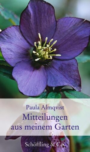 Meine Freundinnen sammeln sie alle: die Gartenkolumnen von Paula Almqvist aus Brigitte Woman. Und sie wünschen sich, dass endlich ein Buch daraus wird.Paula Almqvist, sagen sie, scheint zu erraten, womit wir uns gerade beschäftigen. Wenn man mit guten Vorsätzen an die Beete gehe und es dann wieder alles ganz anders wird als geplant, liest man in ihrer tröstlichen Kolumne, dass es bei ihr ganz genauso ist. Wenn man sich über Männer mit Kettensägen lustig macht, schreibt sie darüber. Wenn man Mord im Herzen trägt, weil Schnecken jungen Salat genauso lieben wie man selbst, schon findet man sich bei ihr aufgehoben.Wann, fragen meine Freundinnen, wird endlich aus diesen herrlichen Geschichten ein Buch? Hier ist es!