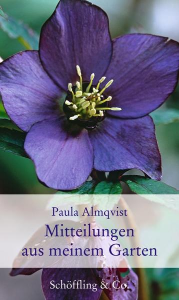 Meine Freundinnen sammeln sie alle: die Gartenkolumnen von Paula Almqvist aus Brigitte Woman. Und sie wünschen sich, dass endlich ein Buch daraus wird.Paula Almqvist, sagen sie, scheint zu erraten, womit wir uns gerade beschäftigen. Wenn man mit guten Vorsätzen an die Beete gehe und es dann wieder alles ganz anders wird als geplant, liest man in ihrer tröstlichen Kolumne, dass es bei ihr ganz genauso ist. Wenn man sich über Männer mit Kettensägen lustig macht, schreibt sie darüber. Wenn man Mord im Herzen trägt, weil Schnecken jungen Salat genauso lieben wie man selbst, schon findet man sich bei ihr aufgehoben.Wann, fragen meine Freundinnen, wird endlich aus diesen herrlichen Geschichten ein Buch? Hier ist es!