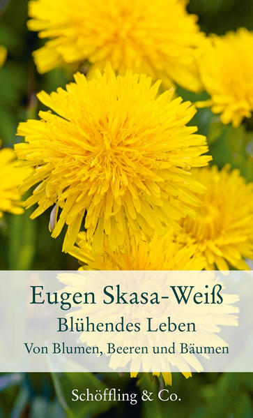 Eugen Skasa-Weiß gilt als einer der Meister des klassischen Feuilletons in der Nachfolge von Alfred Polgar und Victor Auburtin. Seine besondere Liebe gehört den Pflanzen und den Tieren, und da besonders den Katzen, die durch die Pflanzen streifen. Wen auch immer Skasa-Weiß in seinem Blumen-Beeren-Bäume-Buch vorstellt, er schafft es mit einem Satz: 'Huflattich: Mein Gott, was war die Natur zu dieser Zeit noch eine rabiate Geschichte - kein Motorrad weit und breit, und mitten in der Stille eine Huflattichblüte von unverschämten Kanarienvogelgelb! Veilchen: Den Gärtnern ist die wahre Psyche des Veilchens wohlbekannt