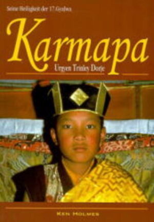 Im Juni 1985 verkörperte sich der Karmapa, neben dem Dalai Lama der bedeutenste "Kopf" des zeitgenössischen Buddhismus, bei den Nomaden Osttibets zum siebzehnten Mal in diesem Jahrtausend und erfüllte damit die Hoffnungen und Gebete vieler Millionen Buddhisten der Kagyu-Tradition auf der ganzen Welt. (Die Suche und das schließliche Finden des 8jährigen Jungen ist festgehalten in dem Film: Living Buddha von Clemens Kuby). Dieses Buch beschreibt die Hintergründe und die Bedeutung der Wiederkehr des Karmapa.