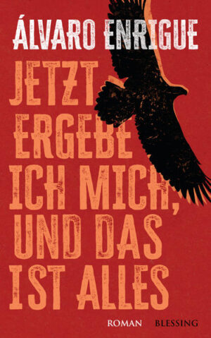 Janos, Mexiko, 1835: Als Apachen eine junge Witwe entführen, bekommt Leutnant Zuloaga den Auftrag, nach ihr zu suchen. In seinem Gefolge reiten unter anderem eine scharfschießende Nonne, ein alter Tanzlehrer und zwei ehemalige Gefangene aus dem Stamm der Yaqui. Als sie die Frau schließlich finden, machen sie eine verblüffende Entdeckung. New York, 2017: Ein mexikanischer Schriftsteller hadert mit der amerikanischen Politik. Aus Angst, nach einem Besuch in seiner Heimat nicht mehr einreisen zu dürfen, verbringt er den Familienurlaub im Grenzgebiet zu Mexiko, wo sich einst Géronimo, der letzte Häuptling der Apachen, ergeben hat. Die Geschichte Géronimos wird zur Parabel für seine eigene, die Vergangenheit Amerikas zum Spiegel seiner Gegenwart.