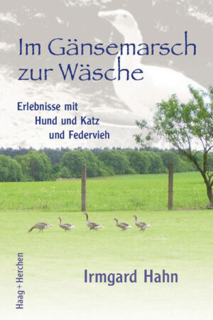 Wild- und Hausgänse, Generationen von Katzen, zwei große Hunde, Hühner und Puten: In liebevoller Rückschau läßt Irmgard Hahn in diesem Buch ihre tierischen Begleiter Revue passieren. Aus jeder Geschichte (mal heiter, mal traurig) spricht die tiefe Zuneigung der Autorin zu ihren Tieren. Es gelingt ihr mühelos, Situationen zu beschreiben, die zu Teilen im nachhinein höchst komisch sind, es in dem betreffenden Moment aber sicher nicht waren … Irmgard Hahn ist 1933 in Zehden an der Oder geboren (Kreis Königsberg/Neumark). Sie studierte Landwirtschaftswissenschaften, Deutsche Sprache und Literatur und arbeitete seit 1963 als Lehrerin. Die Autorin lebt in der Uckermark und hat im Jahr 2003 bei Haag+Herchen als beeindruckenden Zeitzeugenbericht zum Thema Flucht und Vertreibung ihr Buch "Unsere gute Lotte. Nicht nur ein Pferdeschicksal" veröffentlicht.