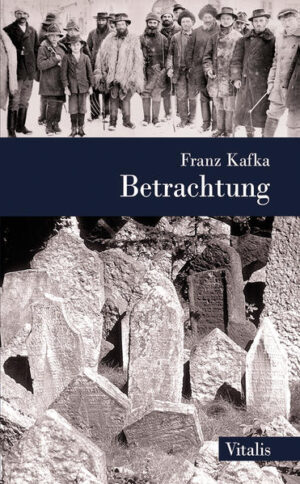 Kafkas kleine Betrachtungen bilden etwas in der deutschen Literatur bisher Unbekanntes