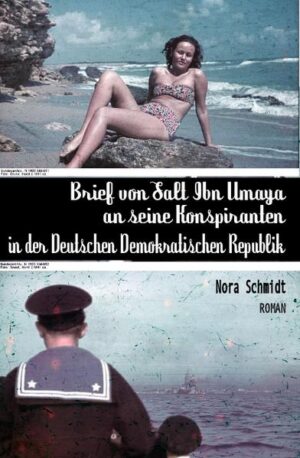 Der Student Werner in einem ägyptischen Wüstendorf. Geheimkommunikation, rätselhafte Frauenfiguren und Familienverhältnisse, ein Moor in Schleswig, ein Kongress, ein Klavier, Konspiration, Wahn, Verzweiflung: es passiert sehr, sehr viel in Nora Schmidts Roman, aber das ist hier nicht das Wesentliche: Hier wünscht nicht nur, wie zu oft, eine junge Frau, eine Autorin zu schreiben, sich auszudrücken, sich mitzuteilen