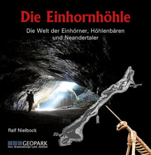 Neubeginn im Geopark Harz Jahrhundertelang war die Höhle im Südharz ein ergiebiger Fundplatz des begehrten Einhorns. Obwohl die Quelle der Knochenfunde bislang nicht versiegte, galt bis 1985 die Erforschung der Höhle als abgeschlossen. Aufgrund des Beginns einer neuen Grabungskampagne und der Forschungen der letzten Jahre kristallisiert sich erst jetzt allmählich der Gesamteindruck von Zeit und Raum in der Einhornhöhle heraus. Erst heute können wir die wahren Dimensionen und somit die große interdisziplinäre wissenschaftliche Bedeutung dieses singulären Geotops ermessen. Um diesen Fundus einer breiten Öffentlichkeit nahe zu bringen, wurde bereits 2002 parallel zum Startschuss für den Geopark der Verein »Gesellschaft Unicornu fossile e. V.« gegründet. Er hat die Höhle seitdem vom Eigentümer, der Forstgenossenschaft Realgemeinde Scharzfeld, gepachtet. Die Einhornhöhle wurde zuvor über viele Jahrzehnte vom Harzklub ZV Scharzfeld als Schauhöhle betrieben. Der neue Verein sieht als sein Hauptziel die geotouristischen Neuerschließung des Besucherbetriebes, zugleich wird massiv die weitere Erforschung der Höhle vorangetrieben. Perspektive als Geotop In der Neukonzeption unter dem Motto »Geotop Biotop Naturund Kulturdenkmal Einhornhöhle« ist die Umsetzung der Erfordernisse eines Naturhöhlen- Geotops wichtig. Neben Maßnahmen zum geotopund biotop- gerechten Umgang mit der Höhle und ihrer Umgebung geht es auch darum, dass die Forschungen vor Ort im Dialog mit der Öffentlichkeit und den Besuchern durchgeführt werden. Diese neue Präsentationsart wurde von den Besuchern sehr positiv angenommen. Um das touristische Angebot zu verbessern, wurde bereits zum Saisonbeginn 2004 vor der Höhle die Höhlenbaude »Haus Einhorn« mit Gaststätte, Kiosk und kleinem Höhlenmuseum fertiggestellt. Im Mai 2006 erhielt die Einhornhöhle zusammen mit der Rhumequelle in der Karstlandschaft Südharz die Auszeichnung »Nationaler Geotop«. Der Betrieb Einhornhöhle / Haus Einhorn wurde Anfang 2007 als Geopark- Infozentrum für den südwestlichen Harzrand zertifiziert, seit 2017 als offizielles Infozentrum des UNESCO Global Geoparks Harz · Braunschweiger Land · Ostfalen. Wanderziel Die Einhornhöhle ist eingebettet in die Felslandschaft der Harzer Dolomiten. Gesteinsformationen aus der Permzeit prägen die Landschaft am südwestlichen Harzrand, aus den Tälern steigen zwischen Herzberg und Bad Lauterberg die schroffen Dolomitklippen empor, bewaldet von mächtigen Buchen. Eine einzigartige Landschaftsform, an die sich nordwestlich und südöstlich die geomorphologischen Erscheinungen des Gipskarstes mit ihren Dolinen, Erdfällen, Gipshöhlen und Bachschwinden anschließen. Der Karstwanderweg, der diese geologischen Phänomene perlschnurartig verbindet, führt von der nahen Steinkirche kommend zur Einhornhöhle und dann weiter zur Burgruine Scharzfels, die auf einem Dolomitklotz thront. Seit 2008 existiert unter der Bezeichnung »Natur- live Einhornhöhle« ein eigenes Rundwegenetz zwischen diesen drei Naturund Kulturdenkmalen mit zahlreichen Installationen zur Geologie und zur Landschaft mit Fauna und Flora. Die Wanderbaude Haus Einhorn an der Einhornhöhle ist seit 2010 in den neuen »Harzer Baudensteig« eingebunden, einem Wanderweg von Baude zu Baude an der südwestlichen Flanke des Harzes, der in Bad Grund beginnt und in Walkenried endet. Die Einhornhöhle ist auch Anlaufziel für die Harzer Wandernadel mit einer Stempelstelle direkt am Höhleneingang.