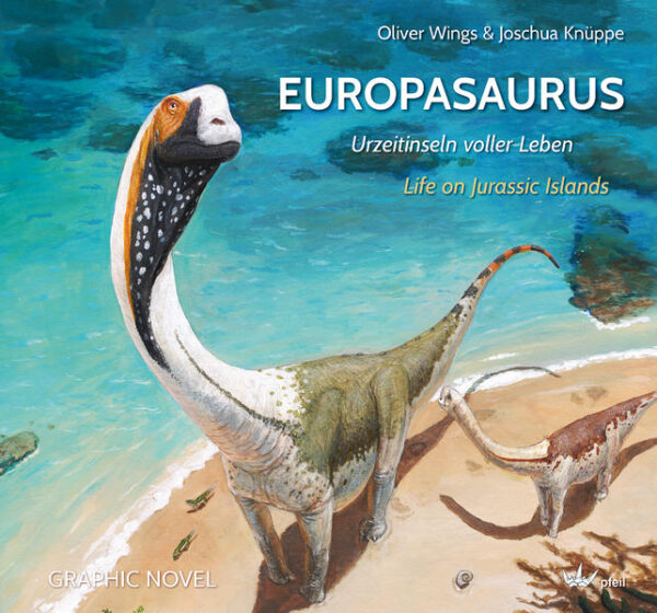 Bereit für eine spannende Zeitreise 154 Millionen Jahre zurück in die Vergangenheit?In der späten Jurazeit, als Mitteleuropa ein subtropisches Inselreich war, durchstreiften gefräßige Raubsaurier, flinke kleine Säugetiere und der zwergenwüchsige Riesendinosaurier Europasaurus die Landschaft im heutigen Norddeutschland. Beeindruckende Bilder erzählen die Geschichte eines jungen Sauriers und gewähren, basierend auf langjähriger Forschung an exzellent erhaltenen Fossilien, wissenschaftlich korrekte Einblicke in eine längst vergangene Tierund Pflanzenwelt. Die Graphic Novel wird durch einen Sachteil ergänzt, der gut verständliche Hintergrundinformationen liefert.