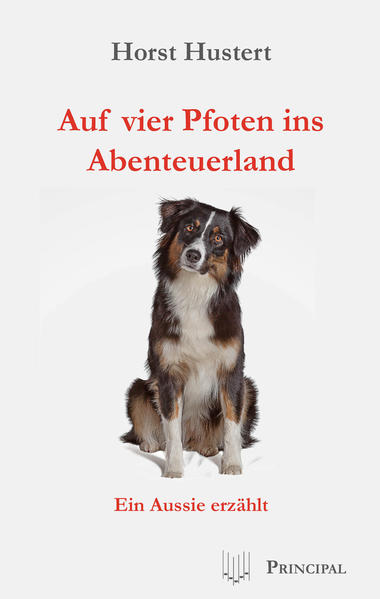 Ramses, ein sympathischer, intelligenter Australian Shepherd, weiß einiges aus seinem Hundeleben zu erzählen. Begegnungen mit seinesgleichen aus der Nachbarschaft fließen ebenso in seine Geschichten ein wie seine Erfahrungen mit den Menschen, die er unvoreingenommen beobachtet und daraus eine amüsante Sozialstudie entwickelt. Scheint es zu Beginn seiner Berichterstattung, als hätte Ramses ein sorgloses Hundeleben, so ändert sich dies von heute auf morgen radikal. Verbrecherische Machenschaften seines reichen und sich ansonsten liebevoll um ihn kümmernden Herrchens bringen Ramses in große Gefahr!