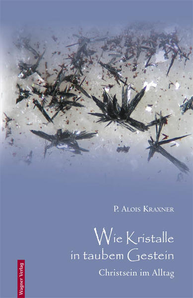 Fern jeder Koketterie mit der philosophischen Spekulation und ohne Anbiederung an den Jargon postmoderner Wellness-Spiritualitäten sprechen die in diesem Band gesammelten Texte stets uneitel zur christlichen Lebensweise. Geradlinig, nüchtern, aber nie spröde, sind sie getragen von der doppelten Lebenserfahrung des Moraltheologen wie des geistlichen Begleiters, der weiß, dass Vorschriften ohne gelebtes Zeugnis wie ein Gerippe ohne Fleisch sind, dass Frömmigkeit ohne Bewährung im Alltag zur Frömmelei verkommt.