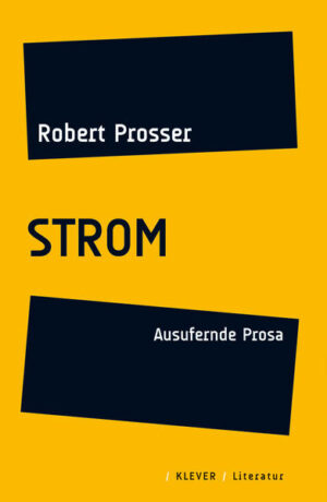 „Strom“ stellt den Versuch dar, eine derartige Individualität durch Stimm- und Sprachauslotung zu ent- wickeln, indem sich der Autor an unterschiedlichste Begebenheiten zwischen Großstadt, Tiroler Seitental oder Wildnis des Himalayas heranwagt und diese im schnellen Schritt aufeinander folgen lässt, wodurch sich ein mitreißender Strom und Rhythmus ergibt. Keine durchgehende Geschichte will er erzählen, sondern einen Ausdruck finden fürs chaotische Ausufern der Welt und der Lust, sich darin zu verirren, ohne Zwang eines starren Systems. Der Text funktioniert als Spirale, das letzte Wort bedingt das erste und vice versa und es ist nebensächlich, wohin man lesend den Schritt wendet, solange man bloß getrieben wird.