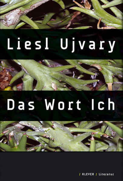 Das Innere unseres Kopfes ist Siedlungsgebiet der Sprache, das noch die feinsten Verästelungen menschlichen Handelns und Fühlens umfasst. Siedlungsgebiet / Besatzungszone / Nährboden meint nicht nur unsere Sprache als Grammatik und Semantik, es meint all jene kulturellen und zivilisatorischen Konstrukte und Konfigurationen, die in Sprache formuliert wurden und die ihrerseits Sprache formten, vom Paläolithikum bis ins 21. Jahrhundert. Konstrukte, die einander durchdringen oder überlagern, starr, fließend, anarchisch, explosiv, beherrscht von Gesetz und Wildheit.