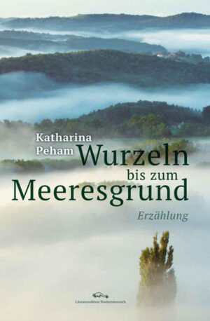 In dem Dorf, in dem Paula groß wird, ist es ruhig und langweilig, ein Dorf zwischen großen Wiesen und Feldern. Der Ort agiert bedächtig und vorhersehbar, er hält sich an seine eigenen Regeln, zeugt von Beständigkeit und Sicherheit. Der Schutz des Dorfes, den Paula und ihre Mutter zunächst verspüren, wird schnell zu einer Festung, der sie nicht entkommen können. Sie bekommen es mit der Angst zu tun, nicht zuletzt von den ungebrochenen Regeln und Grenzen des Dorfes, die immer enger gezogen werden. Schließlich sind da noch die Sehnsucht und die Ahnung, dass außerhalb des Dorfes etwas mehr sein könnte, und der Wunsch, dass man dem Irrsinn entkommen kann. Das Buch ist eine Liebeserklärung und lässt gleichsam hinter die Fassade des Dorfes blicken.