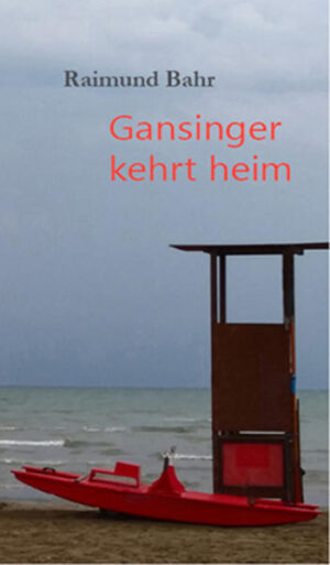 Gansinger kehrt heim hat keine Handlung im üblichen Sinne. Das Buch schildert den Aufbruch eines Menschen am 1.1.2000 aus seiner Heimatstadt. Ort und Namen der Personen bleiben im Ungewissen. Der Leser kann der Reise und den Erlebnissen des Protagonisten nur indirekt folgen, mittels der von ihm hinterlassenen Schriften. Auf seinen Fahrten durch die imaginäre und reale Welt vermischen sich Gegenwart und Vergangenheit. Am Ende findet die Hauptperson einen Ort, an dem er sich niederlässst, seine Suche nach einer Heimat hat ein Ende gefunden. Davor muss er aber mit seiner Vergangenheit und vor allem mit seinen Kindheitstraumata abschließen. Am Ende des Romans, der Protagonist ist verschollen, sucht der Freund des Protagonisten in seiner neuen Heimat auf und findet seine Aufzeichnungen, die er der Öffentlichkeit zugänglich macht. Dieser Vorgang wird in einer Art Vorwort vorweggenommen, um dem Leser einen Kontext zu den einzelnen Textpassagen zu ermöglich und so etwas wie einen Rahmen für die Handlung bereit zu stellen. Ich lausche dem Zirpen der Zikaden. Ein beständiges Zirpen, ein langandauerndes, unausgesetztes Zirpen, das mich in seiner Gleichförmigkeit ermüdet, wie ein warmes Wannenbad, das mir manchmal an Wintertagen gönnte, in das ich stieg, hineinglitt, um meinen durchgefrorenen Knochen Erholung zu gewähren. Ein solches Zirpen ist es, dem ich an diesem Sommerabend lausche und mit geschlossenen Augen alles ausspare, was noch an Geräuschen in der Welt ist. Ein unnachgiebiges Zirpen, das mich zu sich ruft.