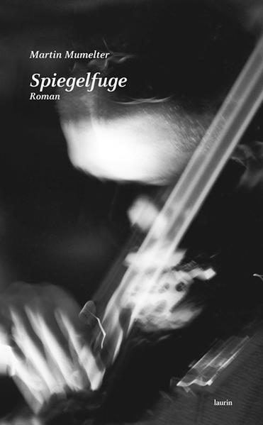 Der Häftling Constant Meyer, einst Violinwunderkind, nunmehr Totschläger und Literaturexperte, enthüllt in einer Folge von Therapiesitzungen seine aberwitzige Lebensgeschichte und stellt weitreichende Überlegungen über die Macht des Schöpferischen als Keim einer Utopie an, die der Mensch noch im größten Elend aufrecht hält. Über eine Vielfalt von Geschichten weiterer Figuren und das Panorama der alpenländischen Heimatstadt entsteht eine Studie allgegenwärtigen Wahnsinns. Ein Roman über Gewalt in Beziehungen, von extremen Wutausbrüchen bis zur Erosion durch die Kraft der spitzen Zunge, um die exponentielle Anreicherung des Bösen und das Heranwachsen einer großen Liebe.