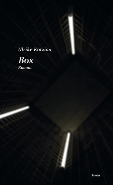 Die zweiunddreißigjährige Anna, seit zehn Jahren mit Nathan liiert, ist unzufrieden: Nach abgeschlossenem Übersetzerstudium bleiben ihr Berufserfolge als Dolmetscherin verwehrt. Nathan, ein ruhiger, erfolgreicher Webdesigner, arbeitet seit Monaten an einem Computerspiel mit dem Titel Utopia und ringt aufgrund des anstehenden Abgabetermins um ein Ende. Ohne Nathans Wissen bewirbt Anna sich für die Reality-Show Box: Jedes Paar muss sich an jeweils einem Samstagabend zur Hauptsendezeit in einer gläsernen Box einer Situation stellen, über die es vorher nicht unterrichtet wurde. Tatsächlich werden Anna und Nathan zum Casting geladen. Doch als die große Live-Show steigen soll, scheint es in der Box Komplikationen zu geben, die Sendezeit wird angeblich nach hinten verschoben. Die Folgen sind für die Partnerschaft sowie für jeden Einzelnen der beiden unabsehbar und dramatisch. Ulrike Kotzina spielt in ihrem dritten Roman gekonnt mit den Gegensätzen zwischen Traum, Vision und Wirklichkeit. Ein überaus spannender Roman über Realitätsflucht, Spiel und Wahn - oder das, was dafür gehalten wird.