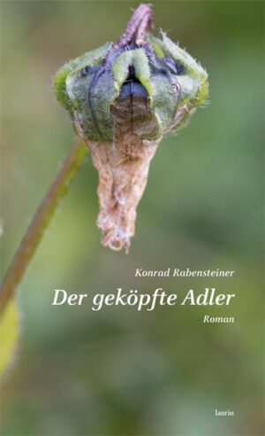 In seinem autobiografischen Roman Der geköpfte Adler schildert Konrad Rabensteiner das Eisacktaler Dorfleben der 50er Jahre des 20. Jahrhunderts. Seine Beschreibungen der Menschen auf der Defregger-Gasse sind überaus lebendige Tablaux’: übermütige Burschen im Dorf, Kirchgeher bei Prozessionen, Väter, die Ohrfeigen austeilen, Spitalsbewohnerinnen, Pferdefuhrwerke, Wanderhändler und Bettler. Das Gasthaus der Eltern, Hausfassaden und Hinterhöfe vor der Erhabenheit der Südtiroler Bergwelt bilden die Kulisse des aus der Sicht eines Kindes erzählten Romans. Konrad Rabensteiner ist ein Autor, der in seinen Büchern wirklich präsent ist, der die Leser tief in seine Gedankenwelt eintauchen lässt. Ein einfühlsam geschriebener Entwicklungsroman, der durch seine detailreichen Schilderungen und seine Originalität überzeugt und stimmungsvolle Einblicke in das bäuerliche Leben Südtirols der 50er Jahre gibt.